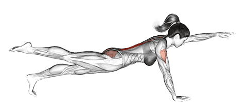 Thumbnail for the video of exercise: Bird Dog