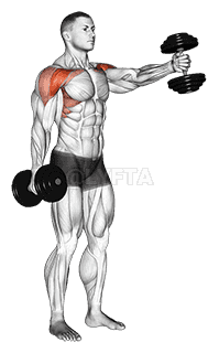 Thumbnail for the video of exercise: Dumbbell Standing Alternate Vertical Front Raises