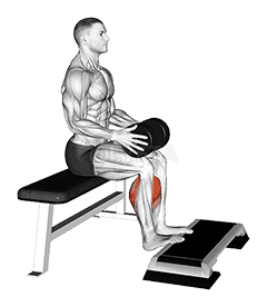 Thumbnail for the video of exercise: Weighted Seated Calf Raise