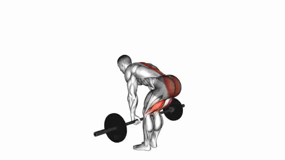 Thumbnail for the video of exercise: Romanian Deadlift