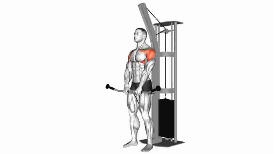 Thumbnail for the video of exercise: Cable Front Raise