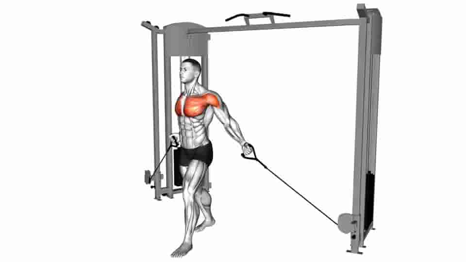 Thumbnail for the video of exercise: Cable Low Fly