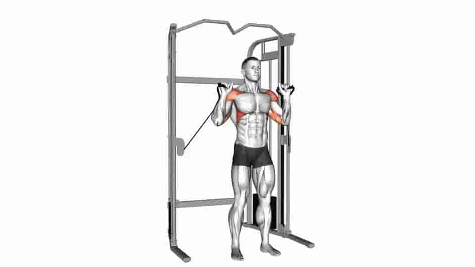 Thumbnail for the video of exercise: Shoulder Press