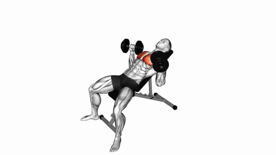 Thumbnail for the video of exercise: Incline Bench Press