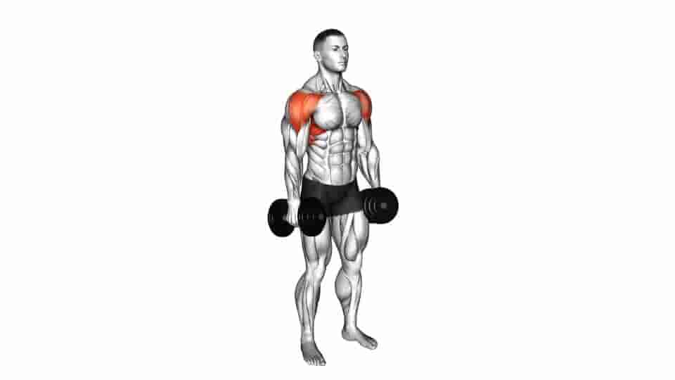 Thumbnail for the video of exercise: Dumbbell Lateral Raise