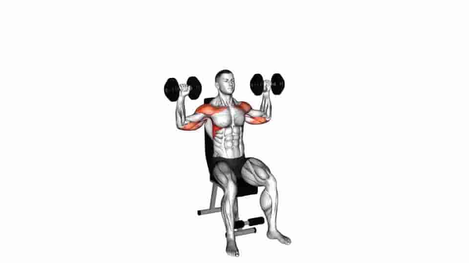 Thumbnail for the video of exercise: Dumbbell Seated Shoulder Press