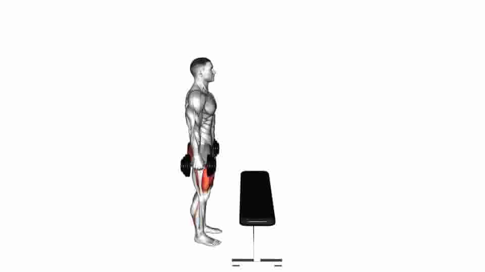 Thumbnail for the video of exercise: Step-up