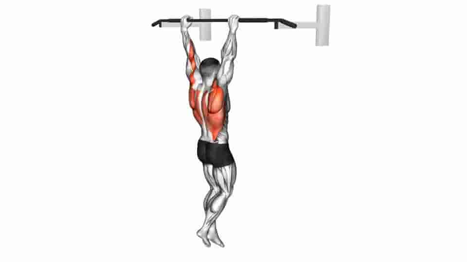 Thumbnail for the video of exercise: Pull-up