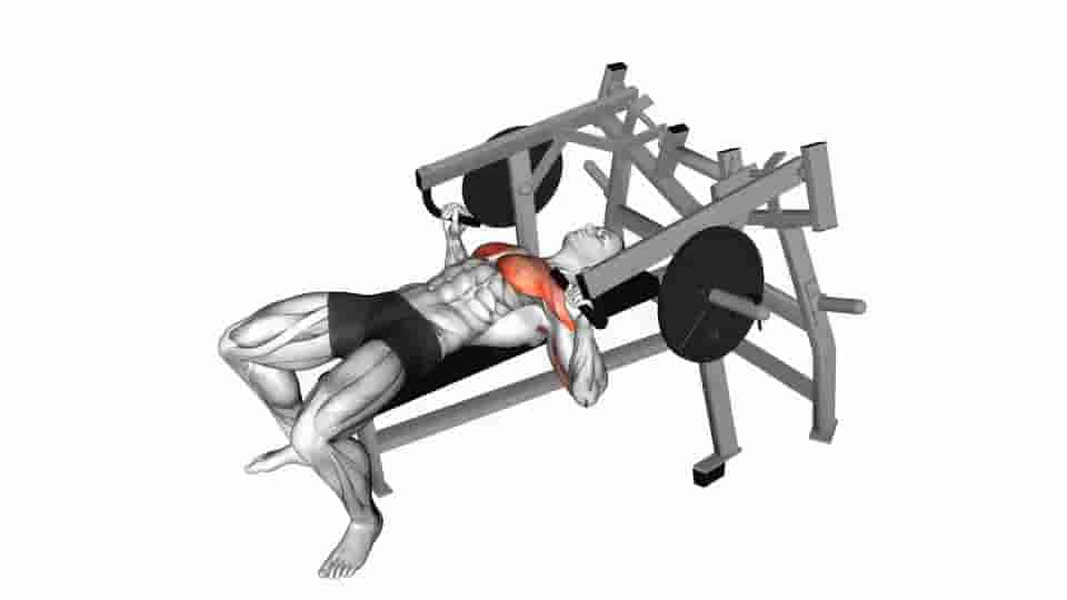 Thumbnail for the video of exercise: Lever Lying Chest Press