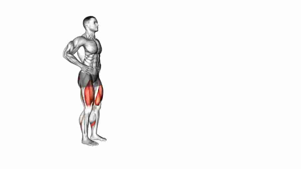 Thumbnail for the video of exercise: Walking Lunge
