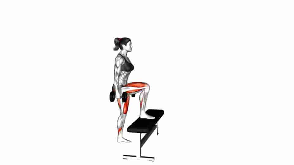 Thumbnail for the video of exercise: Dumbbell Step Up