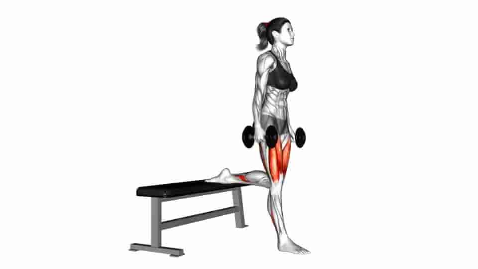 Thumbnail for the video of exercise: Dumbbell Bulgarian Split Squat