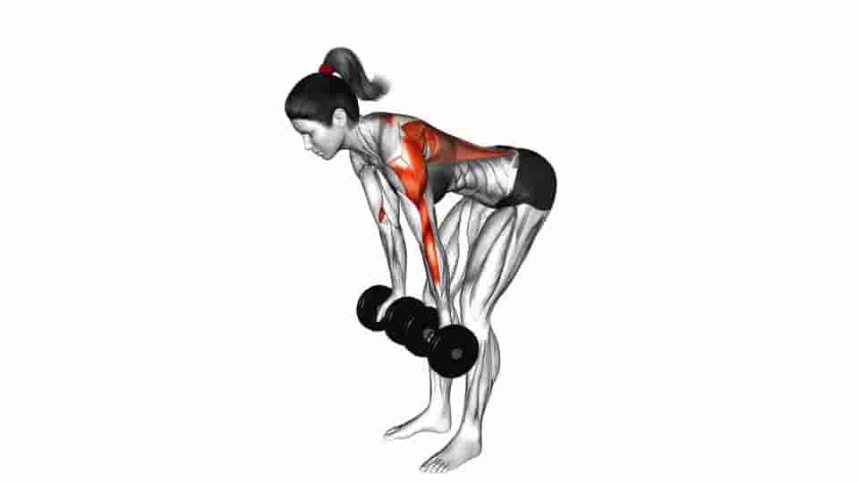 Thumbnail for the video of exercise: Dumbbell Reverse Grip Row