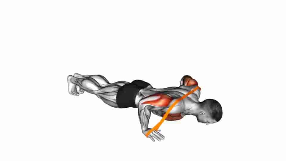 Thumbnail for the video of exercise: Resistance Band Push-Up
